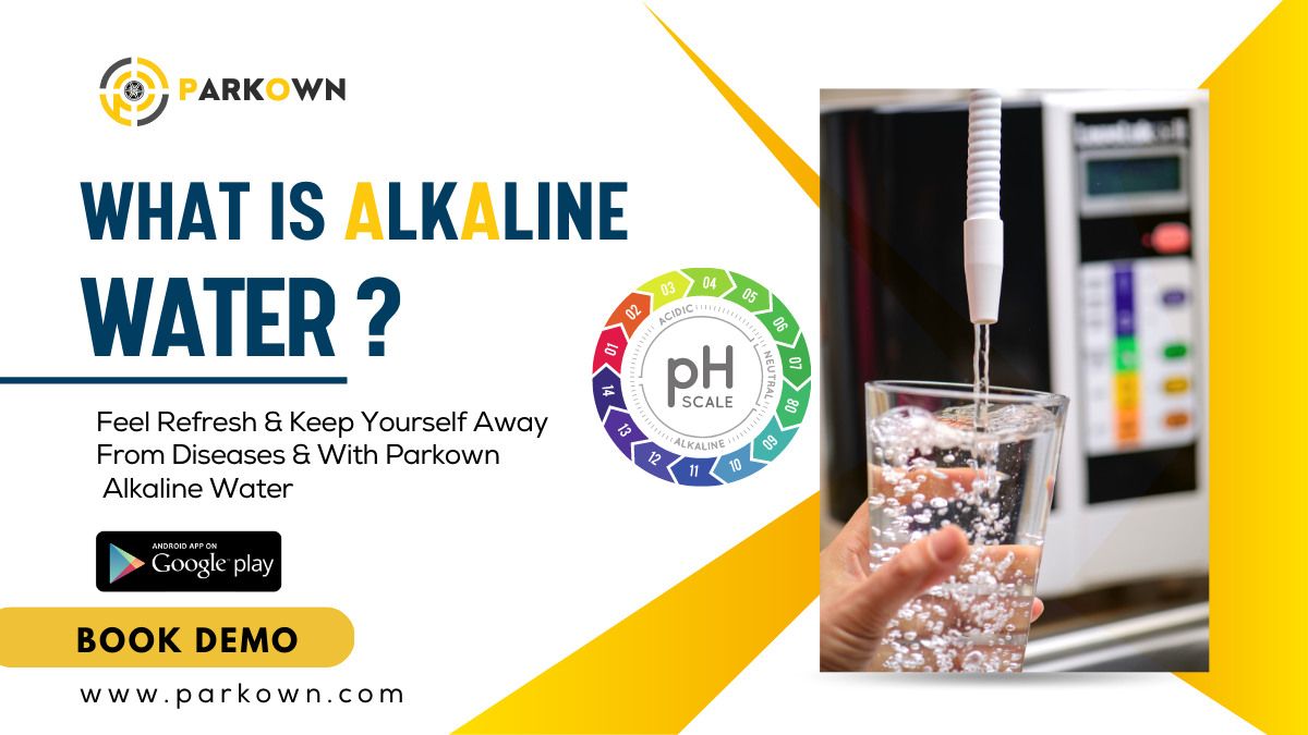 alkaline in india